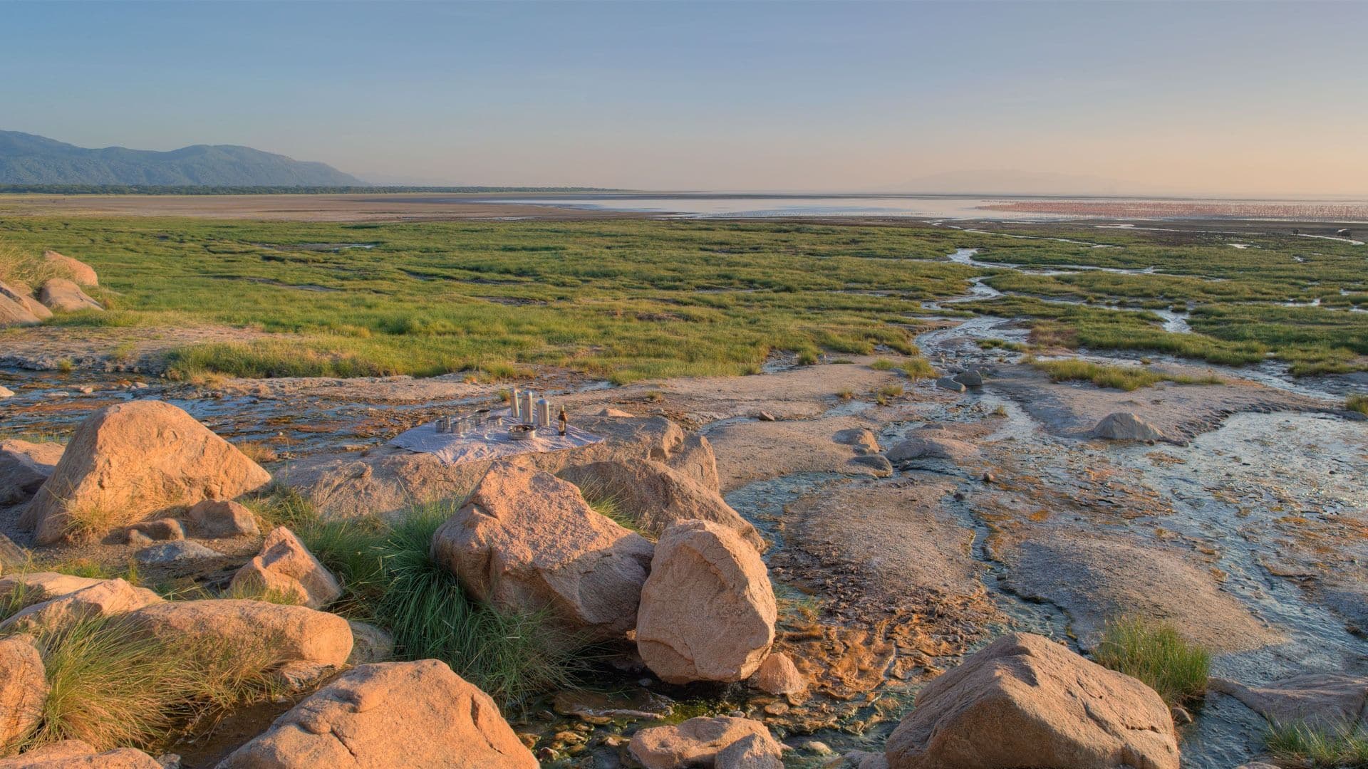 Explore more of Lake Manyara gallery image 1