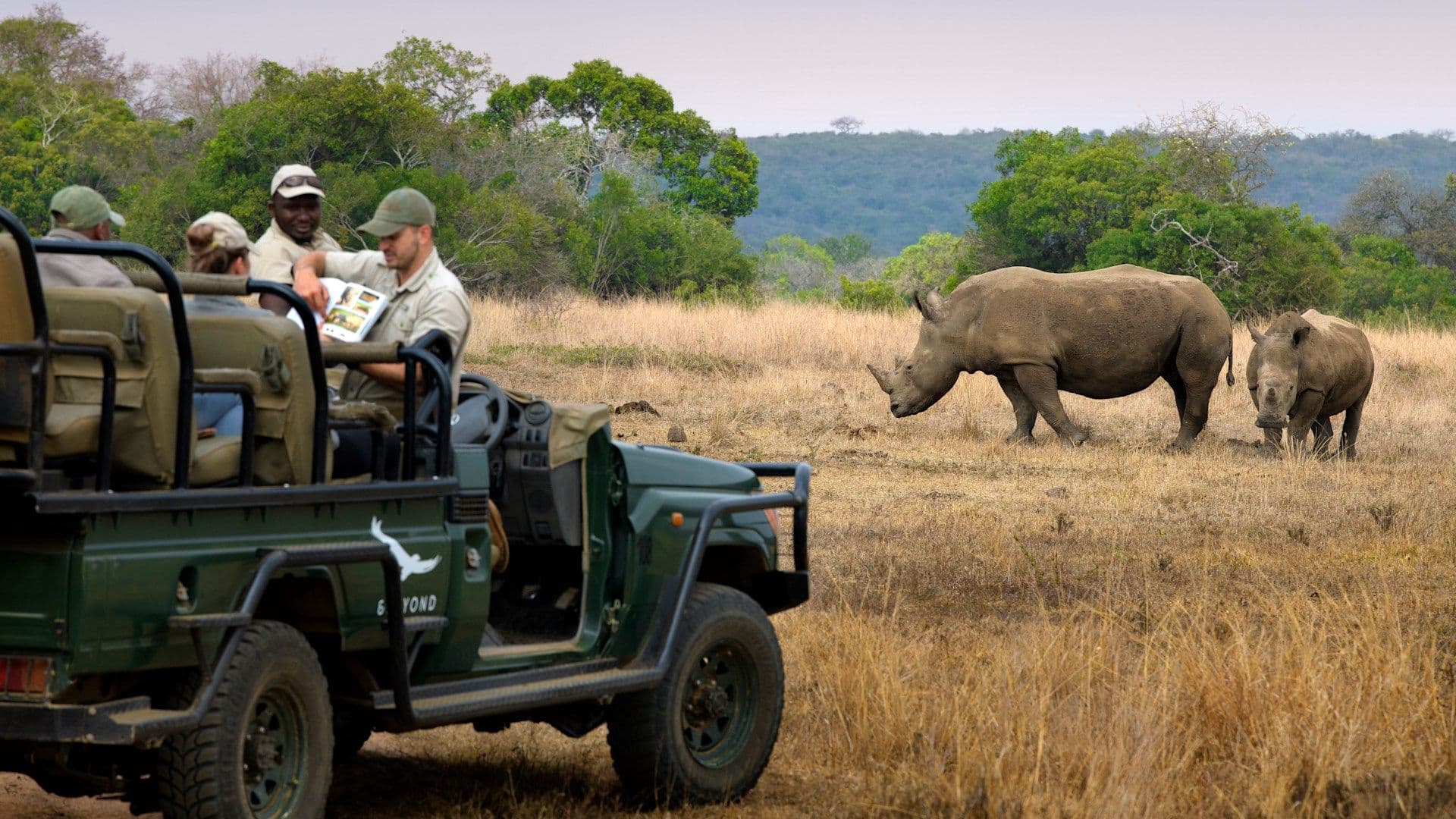 Fly Me to Phinda gallery image 1